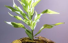 Article Image for Green Finance Initiatives Powering Global Investment Trends