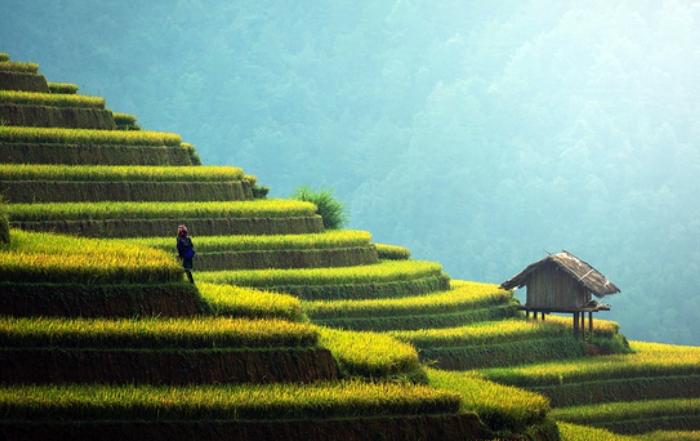 How Emerging Economies Are Redrawing the Map of Responsible Sustainable Investing