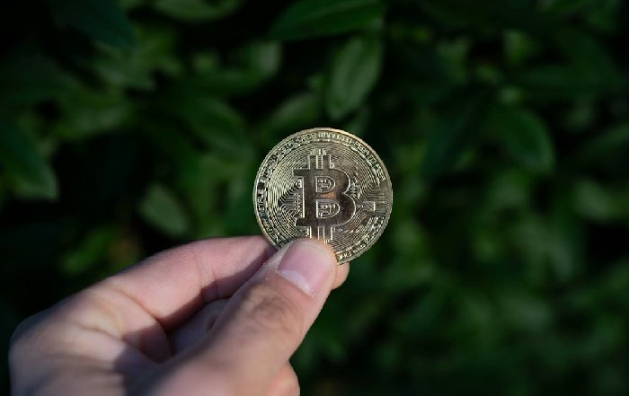 Article Image for How to Navigate the Crypto Landscape as a New Investor