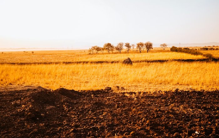 Article Image for Innovation in Agriculture Technology Across Africa
