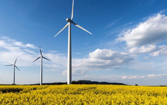 Article Image for Innovation in Green Technology Across European Markets