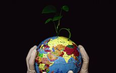 Article Image for Sustainability as a Competitive Edge in Global Markets