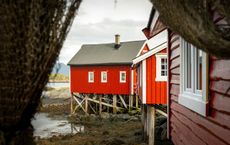 Article Image for Sustainable Business Practices Taking Hold in Scandinavia
