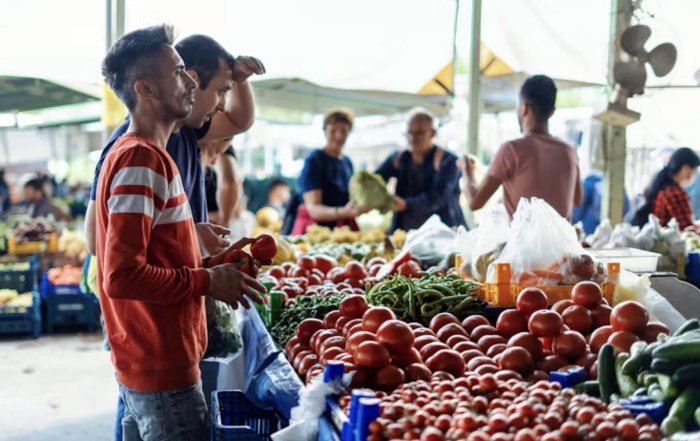 Article Image for Sustainable Consumer Behavior Influencing Market Dynamics