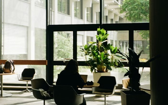 Article Image for The Rise of Remote Work and Its Impact on Urban Economies
