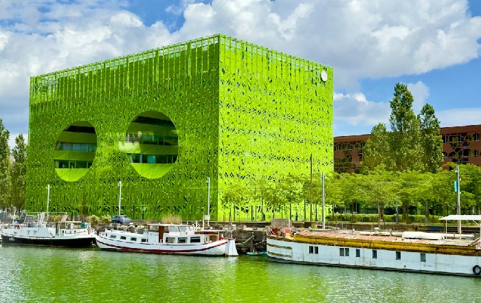 Article Image for The Shift Towards Green Banking in the Netherlands