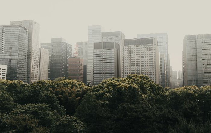 Article Image for Venture Capital in Climate Tech Startups